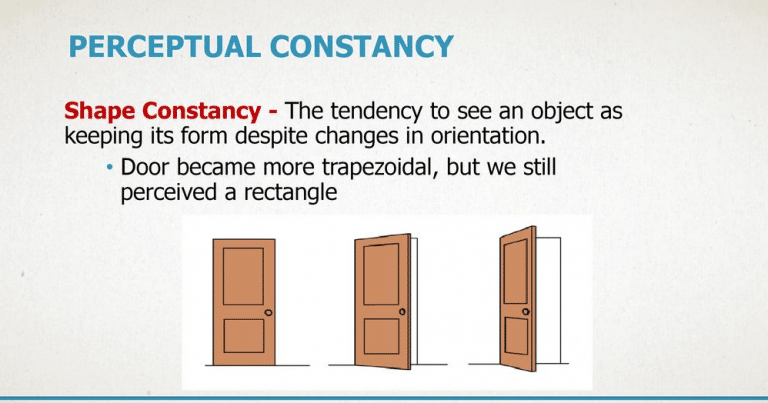 Perceptual Constancy Psychology Definition It Education Course