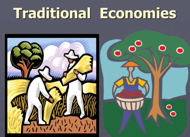 What Is The Meaning Of Traditional Economic