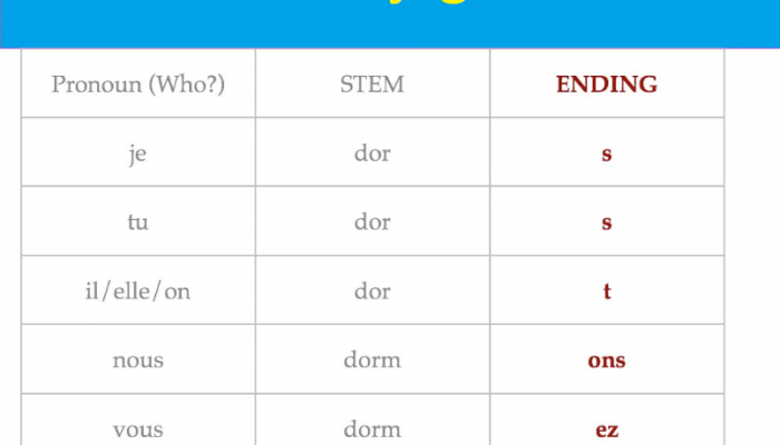 dormir preterite tense sentences | It Education Course